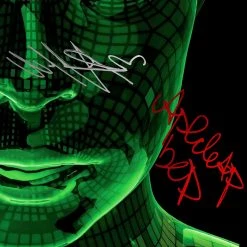 RARE-T Black Eyed Peas - The E.N.D. Platinum LP Limited Signature Edition Studio Licensed Custom Frame