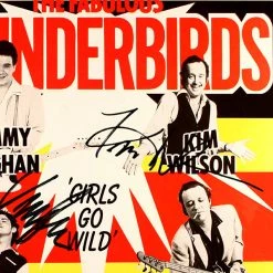 Rare-T Limited Edition Frames Fabulous Thunderbirds - Girls Go Wild Gold LP Limited Signature Edition Studio Licensed Custom Frame