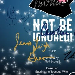 RARE-T Limited Edition Frames Sabrina The Teenage Witch Script Limited Signature Edition Studio Licensed Custom Frame