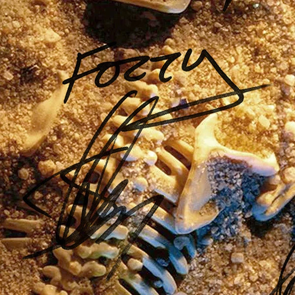 RARE-T Fozzy - All That Remains LP Cover Limited Signature Edition Studio Licensed Custom Frame 6 RARE-T Fozzy - All That Remains LP Cover Limited Signature Edition Studio Licensed Custom Frame