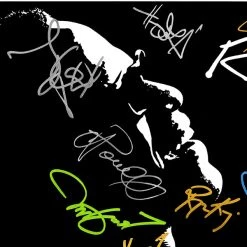 RARE-T Ray - Original Motion Picture Soundtrack LP Cover Limited Signature Edition Studio Licensed Custom Frame