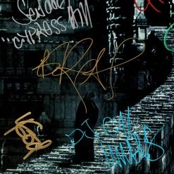 RARE-T Limited Edition Frames Cypress Hill III - Temples Of Boom LP Cover Limited Signature Edition Studio Licensed Custom Frame