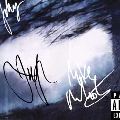 RARE-T Staind Break The Cycle Platinum LP Limited Signature Edition Studio Licensed Custom Frame