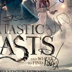 RARE-T Fantastic Beasts And Where To Find Them - Original Motion Picture Soundtrack Platinum LP Limited Signature Edition Studio Licensed Custom Frame Limited Edition Frames