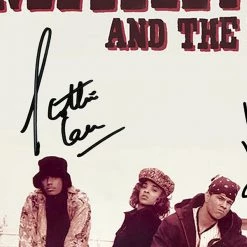 RARE-T Limited Edition Frames Marky Mark And The Funky Bunch - Music To The People Platinum LP Limited Signature Edition Studio Licensed Custom Frame