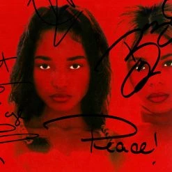 RARE-T TLC Crazy Sexy Cool Platinum LP Limited Signature Edition Studio Licensed Custom Frame Limited Edition Frames