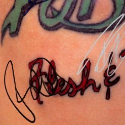 RARE-T Poison Flesh & Blood Gold LP Limited Signature Edition Studio Licensed Custom Frame 15 RARE-T Poison Flesh & Blood Gold LP Limited Signature Edition Studio Licensed Custom Frame