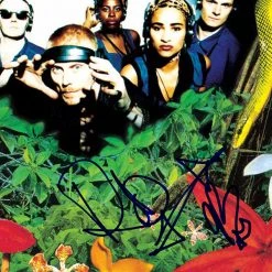 RARE-T Stereo MC's - Connected LP Cover Limited Signature Edition Studio Licensed Custom Frame Limited Edition Frames