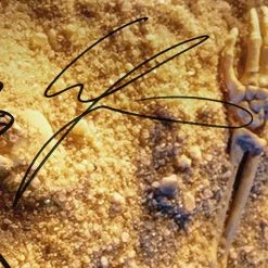 RARE-T Fozzy - All That Remains LP Cover Limited Signature Edition Studio Licensed Custom Frame 14 RARE-T Fozzy - All That Remains LP Cover Limited Signature Edition Studio Licensed Custom Frame