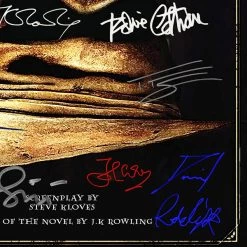 RARE-T Limited Edition Frames Harry Potter And The Sorcerer’s Stone Limited Signature Edition Studio Licensed Script Custom Frame