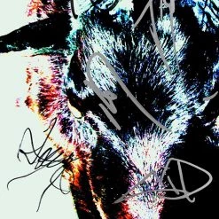 RARE-T Slipknot - IOWA Platinum LP Limited Signature Edition Studio Licensed Custom Frame Limited Edition Frames