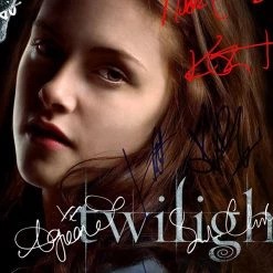 RARE-T Twilight - Music From The Original Motion Picture Platinum LP Limited Signature Edition Studio Licensed Custom Frame