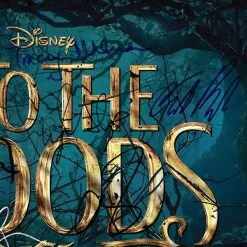 RARE-T Limited Edition Frames Into The Woods - Original Motion Picture Soundtrack Gold LP Limited Signature Edition Studio Licensed Custom Frame