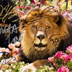 RARE-T DJ Khaled - Major Key Gold LP Limited Signature Edition Studio Licensed Custom Frame Limited Edition Frames