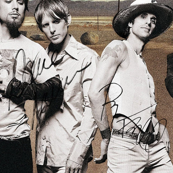 RARE-T Limited Edition Frames Jane's Addiction - Strays Platinum LP Limited Signature Edition Studio Licensed Custom Frame 6 RARE-T Limited Edition Frames Jane's Addiction - Strays Platinum LP Limited Signature Edition Studio Licensed Custom Frame