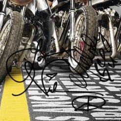 RARE-T Pussycat Dolls - Doll Domination Gold LP Limited Signature Edition Studio Licensed Custom Frame 17 RARE-T Pussycat Dolls - Doll Domination Gold LP Limited Signature Edition Studio Licensed Custom Frame