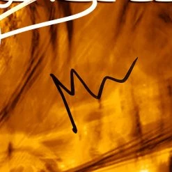 RARE-T Meshuggah - Nothing Gold LP Limited Signature Edition Studio Licensed Custom Frame Limited Edition Frames