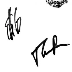 G.R.O. Avenged Sevenfold - Self Titled Platinum LP Limited Signature Edition Studio Licensed Custom Frame