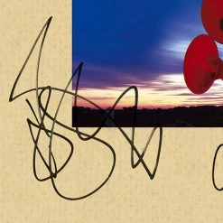 RARE-T Limited Edition Frames Depeche Mode - Music For The Masses LP Cover Limited Signature Edition Studio Licensed Custom Frame