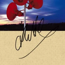 RARE-T Limited Edition Frames Depeche Mode - Music For The Masses LP Cover Limited Signature Edition Studio Licensed Custom Frame