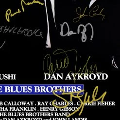 RARE-T Limited Edition Frames The Blues Brothers Movie Mini Poster Limited Signature Edition Studio Licensed Custom Frame