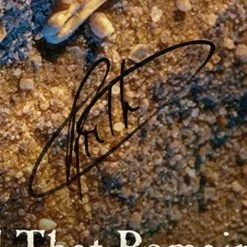 RARE-T Fozzy - All That Remains Platinum LP Limited Signature Edition Studio Licensed Custom Frame Limited Edition Frames