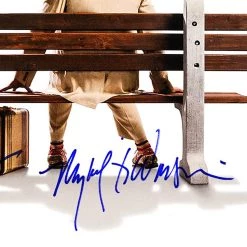 RARE-T NEW Forrest Gump - Original Motion Picture Soundtrack Platinum LP Limited Signature Edition Studio Licensed Custom Frame