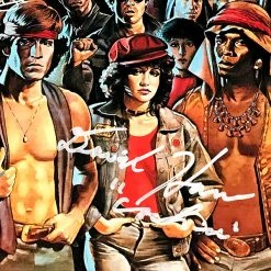 RARE-T The Warriors - Original Soundtrack Collection LP Cover Limited Signature Edition Studio Licensed Custom Frame Limited Edition Frames