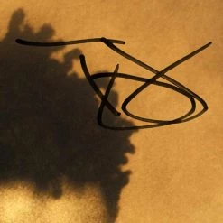 RARE-T Tracy Chapman Self-titled Gold LP Limited Signature Edition Studio Licensed Custom Frame