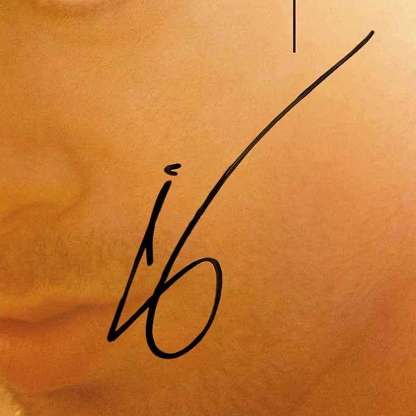 RARE-T Enrique Iglesias - Euphoria LP Cover Limited Signature Edition Studio Licensed Custom Frame 4 RARE-T Enrique Iglesias - Euphoria LP Cover Limited Signature Edition Studio Licensed Custom Frame