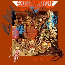 RARE-T Aerosmith Toys In The Attic Platinum LP Limited Signature Edition Studio Licensed Custom Frame