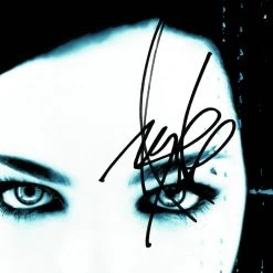 RARE-T Limited Edition Frames Evanescence Fallen Platinum LP Limited Signature Edition Studio Licensed Custom Frame