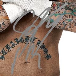 RARE-T CM Punk Photo Limited Signature Edition Studio Licensed Custom Frame Limited Edition Frames 10 RARE-T CM Punk Photo Limited Signature Edition Studio Licensed Custom Frame Limited Edition Frames