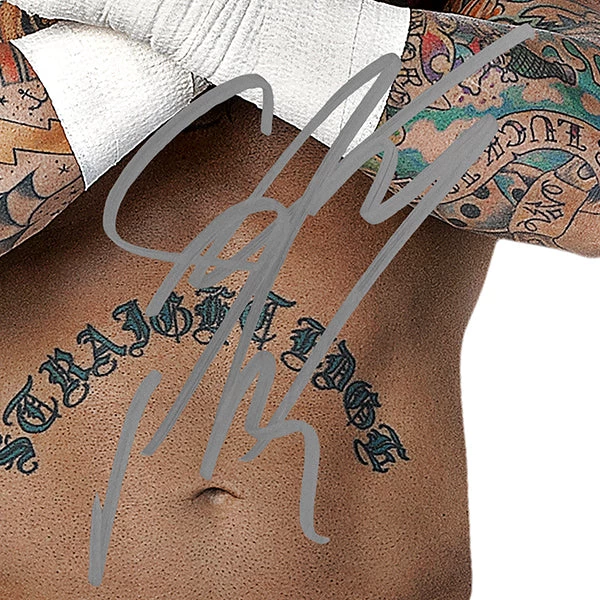 RARE-T CM Punk Photo Limited Signature Edition Studio Licensed Custom Frame Limited Edition Frames 4 RARE-T CM Punk Photo Limited Signature Edition Studio Licensed Custom Frame Limited Edition Frames