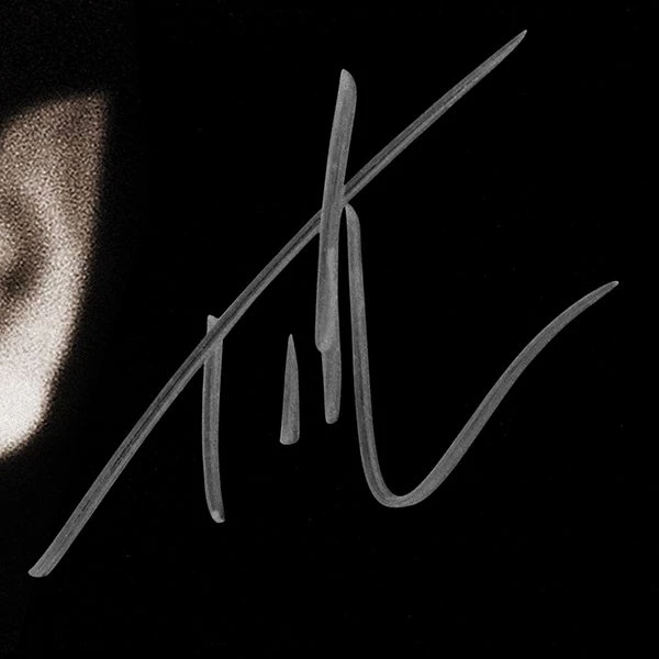 RARE-T Tim McGraw - Everywhere Gold LP Limited Signature Edition Studio Licensed Custom Frame Limited Edition Frames 4 RARE-T Tim McGraw - Everywhere Gold LP Limited Signature Edition Studio Licensed Custom Frame Limited Edition Frames