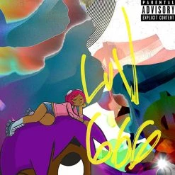 RARE-T Limited Edition Frames Lil Uzi Vert Lil Uzi Vert Vs The World Platinum LP Limited Signature Edition Studio Licensed Custom Frame