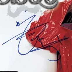 RARE-T Sisqo - Unleash The Dragon LP Cover Limited Signature Edition Studio Licensed Custom Frame