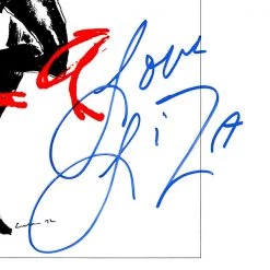 RARE-T Limited Edition Frames Liza Minnelli - Liza With A Z Gold LP Limited Signature Edition Studio Licensed Custom Frame