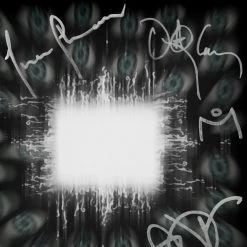 RARE-T Tool Aenima Platinum LP Limited Signature Edition Studio Licensed Custom Frame Limited Edition Frames