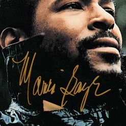 RARE-T Marvin Gaye What's Going On Platinum LP Limited Signature Edition Studio Licensed Custom Frame