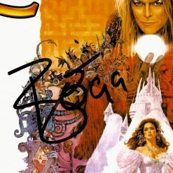 RARE-T Limited Edition Frames Labyrinth Movie Soundtrack LP Cover Limited Signature Edition Studio Licensed Custom Frame
