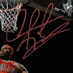 RARE-T Dennis Rodman Chicago Bulls Photo Limited Signature Edition Studio Licensed Custom Frame Limited Edition Frames