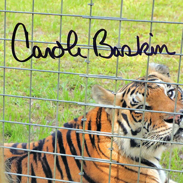 RARE-T Tiger King - Carole Baskin Photo Limited Signature Edition Studio Licensed Custom Frame 4 RARE-T Tiger King - Carole Baskin Photo Limited Signature Edition Studio Licensed Custom Frame