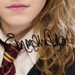 RARE-T Harry Potter - Hermione Photo Limited Signature Edition Studio Licensed Custom Frame 10 RARE-T Harry Potter - Hermione Photo Limited Signature Edition Studio Licensed Custom Frame
