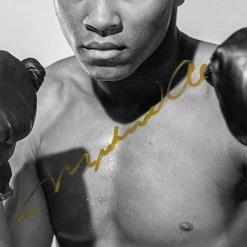 RARE-T Muhammad Ali Gloves Photo Limited Signature Edition Licensed Custom Frame Sports Memorabilia 8 RARE-T Muhammad Ali Gloves Photo Limited Signature Edition Licensed Custom Frame Sports Memorabilia