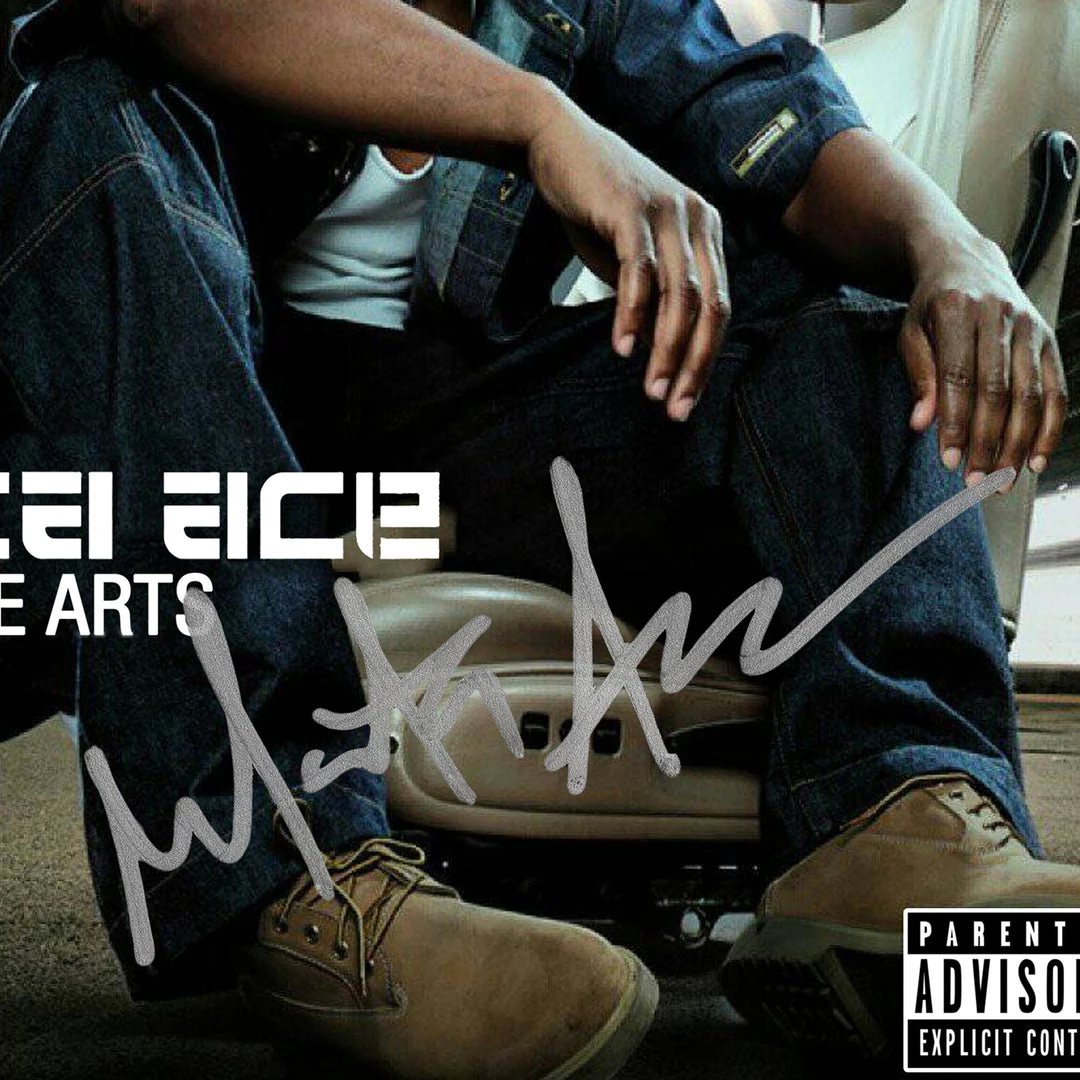 RARE-T Limited Edition Frames Masta Ace - Disposable Arts Platinum LP Limited Signature Edition Studio Licensed Custom Frame 4 RARE-T Limited Edition Frames Masta Ace - Disposable Arts Platinum LP Limited Signature Edition Studio Licensed Custom Frame