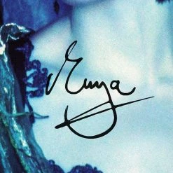 RARE-T Enya - Sheperd Moons Platinum LP Limited Signature Edition Studio Licensed Custom Frame Limited Edition Frames