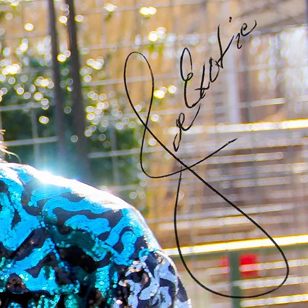 RARE-T Tiger King Joe Exotic Photo Limited Signature Edition Studio Licensed Custom Frame Limited Edition Frames 4 RARE-T Tiger King Joe Exotic Photo Limited Signature Edition Studio Licensed Custom Frame Limited Edition Frames