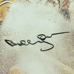 RARE-T Boston Bruins - Bobby Orr Photo Limited Signature Edition Studio Licensed Custom Frame Sports Memorabilia 10 RARE-T Boston Bruins - Bobby Orr Photo Limited Signature Edition Studio Licensed Custom Frame Sports Memorabilia