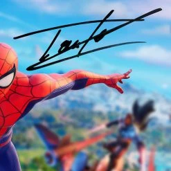 RARE-T Limited Edition Frames Fortnite Spider-Man Promotional Art Photo Limited Signature Edition Studio Licensed Custom Frame